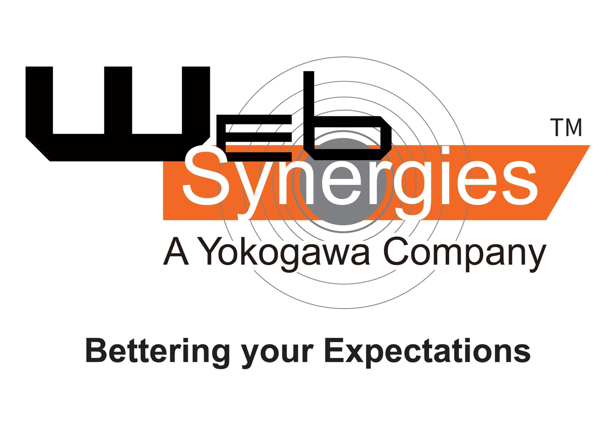 Web Synergies